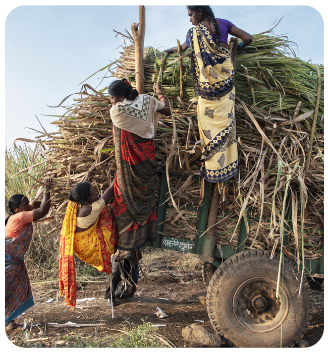 Worker-Driven Social Responsibility
